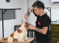 Foto de la galería:  Tarde de spa y peluquería canina: en la lista de salidas de los más mascoteros en la ciudad