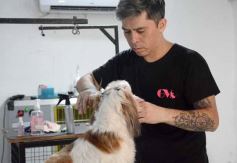 Foto de la galería:  Tarde de spa y peluquería canina: en la lista de salidas de los más mascoteros en la ciudad