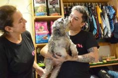 Foto de la galería:  Tarde de spa y peluquería canina: en la lista de salidas de los más mascoteros en la ciudad