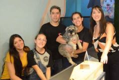 Foto de la galería:  Tarde de spa y peluquería canina: en la lista de salidas de los más mascoteros en la ciudad