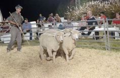 Foto de la galería: 1er. Remate Nocturno 2024: escapada de campo, gastronomía y encuentro en La Armonía