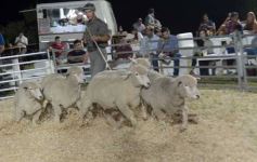 Foto de la galería: 1er. Remate Nocturno 2024: escapada de campo, gastronomía y encuentro en La Armonía