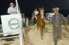 Foto de la galería: 1er. Remate Nocturno 2024: escapada de campo, gastronomía y encuentro en La Armonía