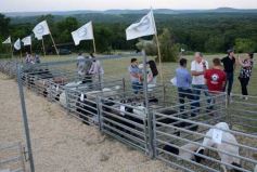 Foto de la galería: 1er. Remate Nocturno 2024: escapada de campo, gastronomía y encuentro en La Armonía