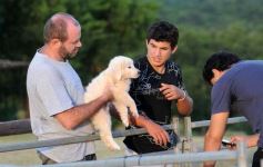 Foto de la galería: 1er. Remate Nocturno 2024: escapada de campo, gastronomía y encuentro en La Armonía