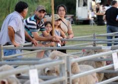 Foto de la galería: 1er. Remate Nocturno 2024: escapada de campo, gastronomía y encuentro en La Armonía