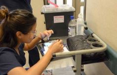 Foto de la galería: 3 de marzo: el Madariaga cumple un nuevo aniversario junto a la salud pública misionera