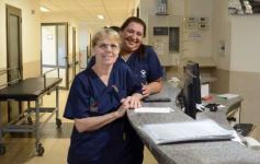 Foto de la galería: 3 de marzo: el Madariaga cumple un nuevo aniversario junto a la salud pública misionera