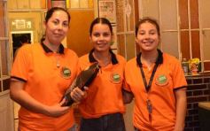 Foto de la galería: Noche de peña en la Casa Paraguaya: el programa Radial Guaraní Tavarandú celebró sus 15 años