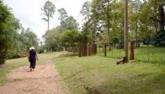 Foto de la galería: Para desconectar, recargar y repetir: resumen en postales de la escapada de domingo en San Ignacio