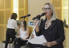 Foto de la galería: 1er Encuentro Transfronterizo: diputados de Misiones y Rio Grande do Sur trabajan en una agenda en común