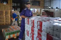 Foto de la galería: Salidas y trabajo: varieté de otras vueltas por Posadas, Montecarlo y Santo Pipó 