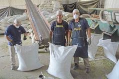 Foto de la galería: Salidas y trabajo: varieté de otras vueltas por Posadas, Montecarlo y Santo Pipó 