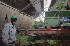 Foto de la galería: Salidas y trabajo: varieté de otras vueltas por Posadas, Montecarlo y Santo Pipó 