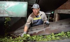 Foto de la galería: Salidas y trabajo: varieté de otras vueltas por Posadas, Montecarlo y Santo Pipó 