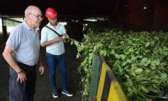 Foto de la galería: Salidas y trabajo: varieté de otras vueltas por Posadas, Montecarlo y Santo Pipó 