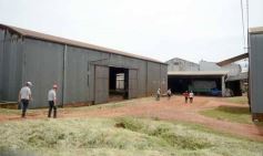 Foto de la galería: Yerba Mate Piporé: visita y charla para conocer más de los productos de esta Cooperativa misionera