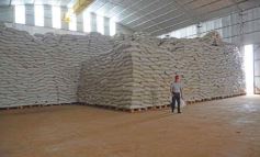 Foto de la galería: Yerba Mate Piporé: visita y charla para conocer más de los productos de esta Cooperativa misionera