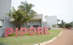 Foto de la galería: Yerba Mate Piporé: visita y charla para conocer más de los productos de esta Cooperativa misionera