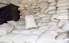 Foto de la galería: Yerba Mate Piporé: visita y charla para conocer más de los productos de esta Cooperativa misionera