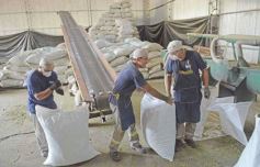 Foto de la galería: Yerba Mate Piporé: visita y charla para conocer más de los productos de esta Cooperativa misionera