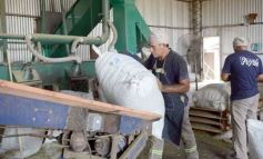 Foto de la galería: Yerba Mate Piporé: visita y charla para conocer más de los productos de esta Cooperativa misionera