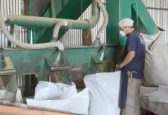 Foto de la galería: Yerba Mate Piporé: visita y charla para conocer más de los productos de esta Cooperativa misionera