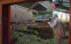 Foto de la galería: Yerba Mate Piporé: visita y charla para conocer más de los productos de esta Cooperativa misionera