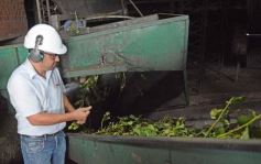 Foto de la galería: Yerba Mate Piporé: visita y charla para conocer más de los productos de esta Cooperativa misionera