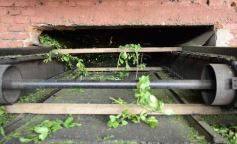 Foto de la galería: Yerba Mate Piporé: visita y charla para conocer más de los productos de esta Cooperativa misionera