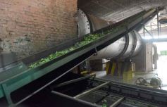 Foto de la galería: Yerba Mate Piporé: visita y charla para conocer más de los productos de esta Cooperativa misionera