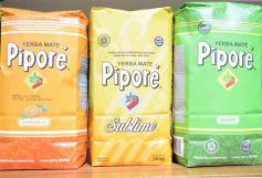 Foto de la galería: Yerba Mate Piporé: visita y charla para conocer más de los productos de esta Cooperativa misionera