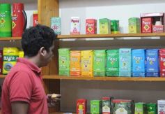 Foto de la galería: Yerba Mate Piporé: visita y charla para conocer más de los productos de esta Cooperativa misionera