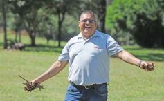 Foto de la galería: Torneo Apertura: volvió el golf con un sábado a pleno en el Tacurú