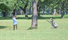 Foto de la galería: Torneo Apertura: volvió el golf con un sábado a pleno en el Tacurú