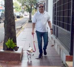 Foto de la galería: Trabajo y paseo: con la Casa del Streaming y otro varieté de postales en la ciudad