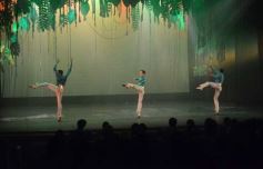 Foto de la galería: Al eterno Ramón Ayala: música, emoción y homenaje junto al Ballet Folclórico del Parque