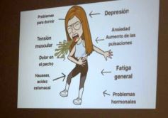 Foto de la galería: Ciencia y espiritualidad para una vida plena: se realizó el Taller de Gestión del Estrés en Posadas