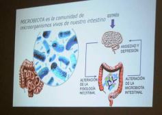 Foto de la galería: Ciencia y espiritualidad para una vida plena: se realizó el Taller de Gestión del Estrés en Posadas