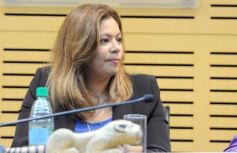 Foto de la galería: Semana de los Pueblos Originarios: reconocieron a promotores de los derechos y cultura Mbya Guarani