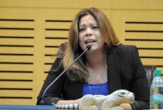 Foto de la galería: Semana de los Pueblos Originarios: reconocieron a promotores de los derechos y cultura Mbya Guarani