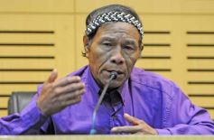 Sixto Fotografías. Sociedad. Cámara de Diputados - Semana de los Pueblos Originarios: reconocieron a promotores de los derechos y cultura Mbya Guarani