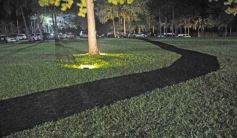 Foto de la galería: Noche de brindis y show: La Soñada Eventos lanzó su temporada 2024