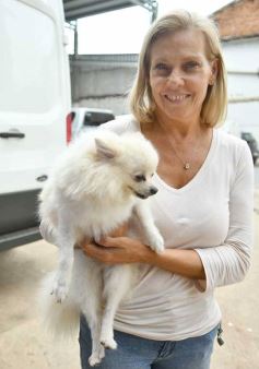 Foto de la galería: Las primeras de mayo en este salpicado de festejos y otras recorridas