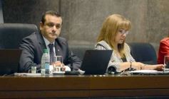 Foto de la galería: Diputados: salud y cultura sumaron leyes en la segunda sesión del año