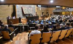 Foto de la galería: Diputados: salud y cultura sumaron leyes en la segunda sesión del año