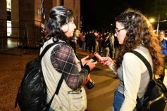 Foto de la galería: Diputados: salud y cultura sumaron leyes en la segunda sesión del año