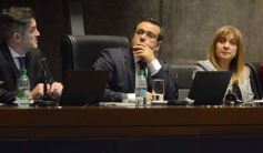 Foto de la galería: Diputados: salud y cultura sumaron leyes en la segunda sesión del año