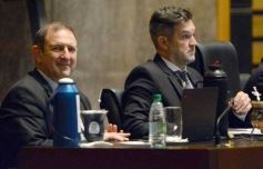 Foto de la galería: Diputados: salud y cultura sumaron leyes en la segunda sesión del año