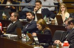 Foto de la galería: Diputados: salud y cultura sumaron leyes en la segunda sesión del año